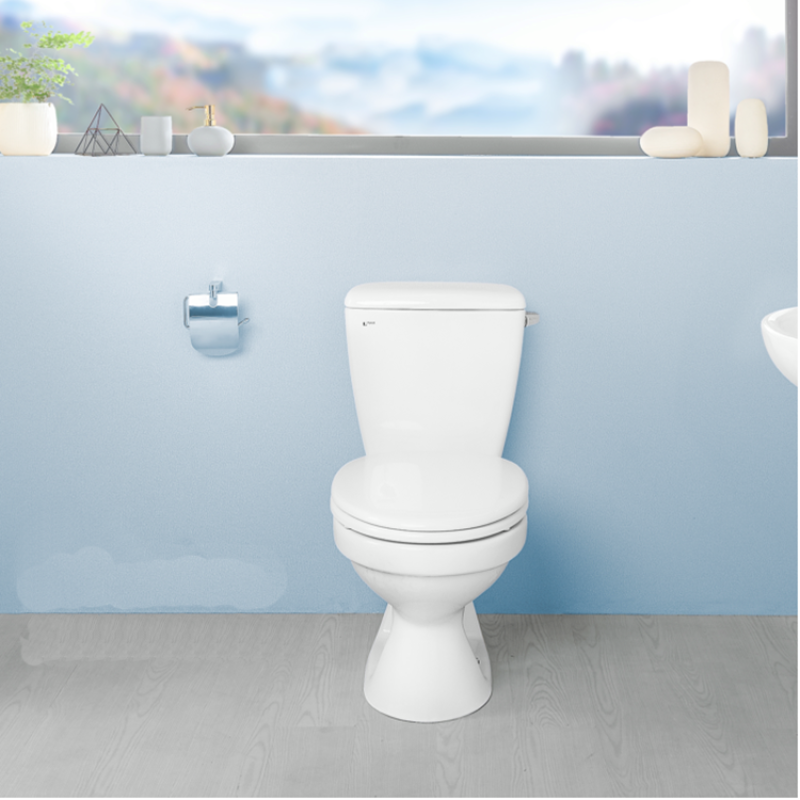 Bồn cầu 2 khối INAX C-117VA (nắp thường)